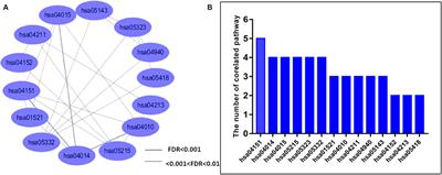 Network and Pathway-Based Integrated Analysis Identified a Novel “rs28457673–miR-15/16/195/424/497 Family–IGF1R–MAPK Signaling Pathway” Axis Associated With Post-stroke Depression